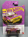 Hot Wheels 2025 57th anniversary Nissan patrol custom   (NP11)