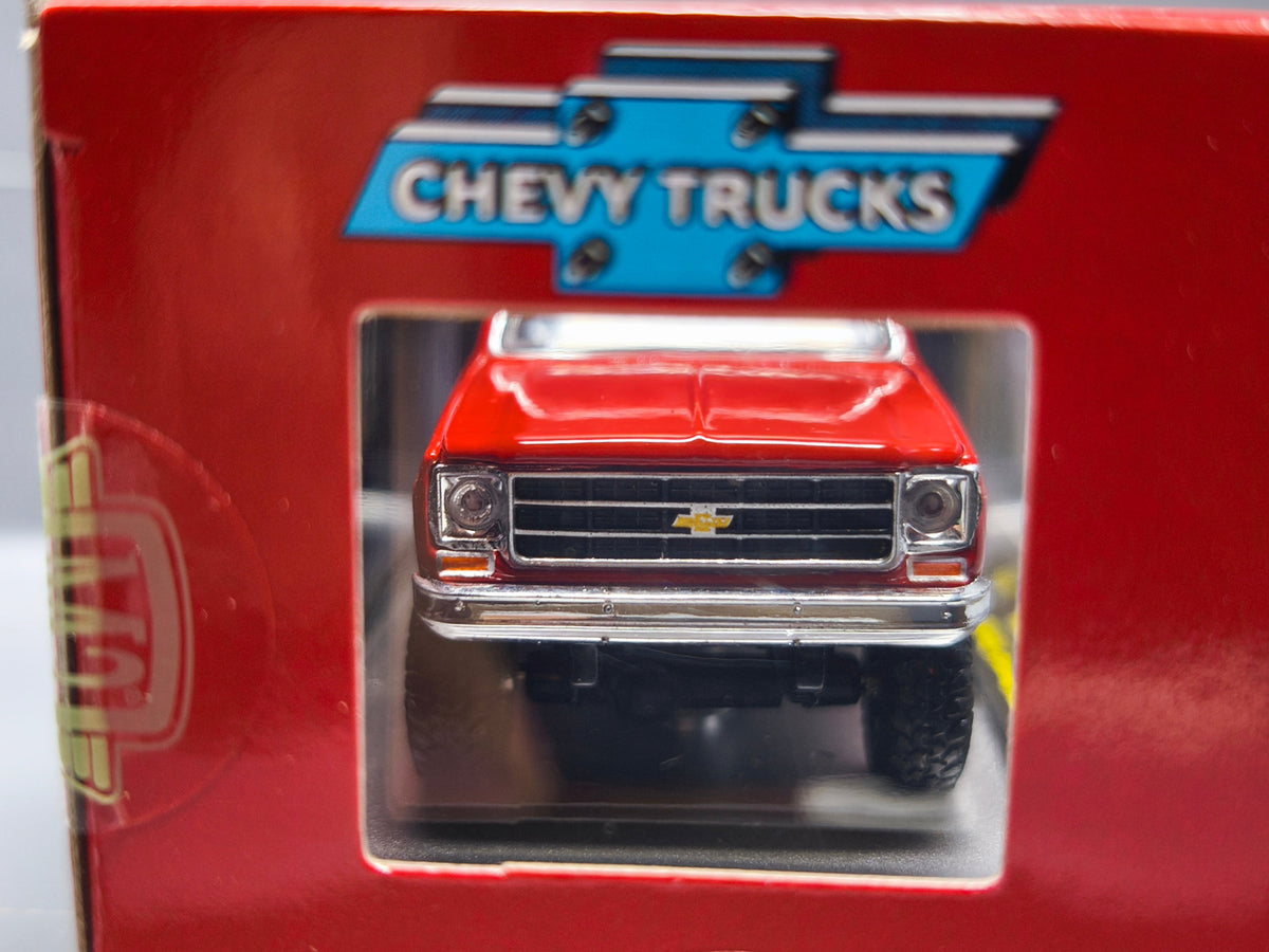M2 Machines 1979 Chevrolet Scottsdale R104 25-87 (NP08)